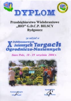 Dyplom za udział