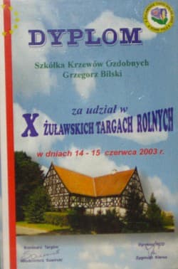 Dyplom za udział